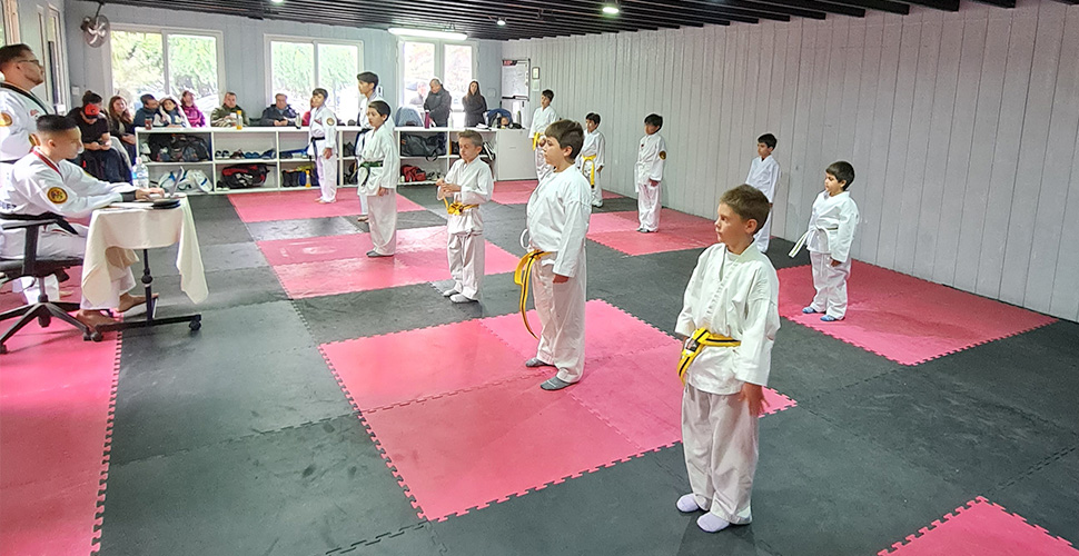 academia taekwondo